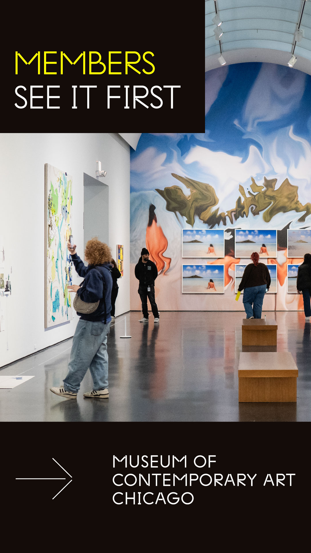 Museum of Contemporary Art Chicago Facebook ad