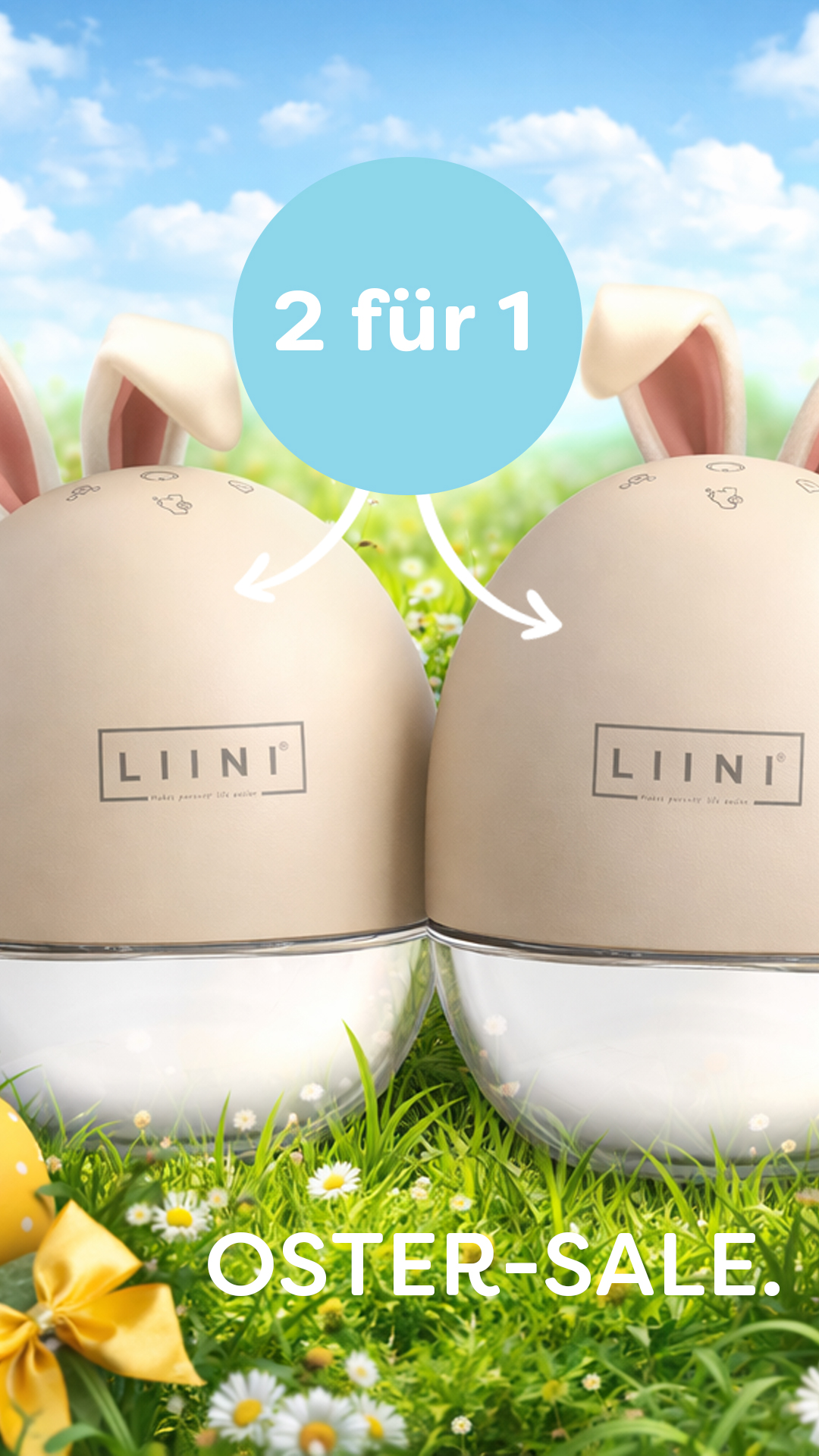LIINI GmbH Facebook ad from Mar 24, 2026