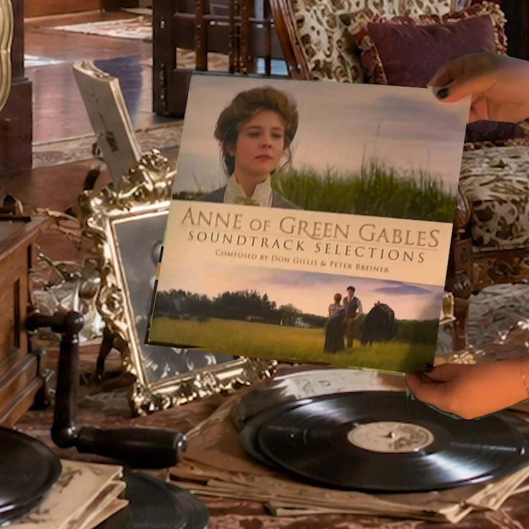Anne of Green Gables Facebook ad: Introducing the Anne Vinyl!