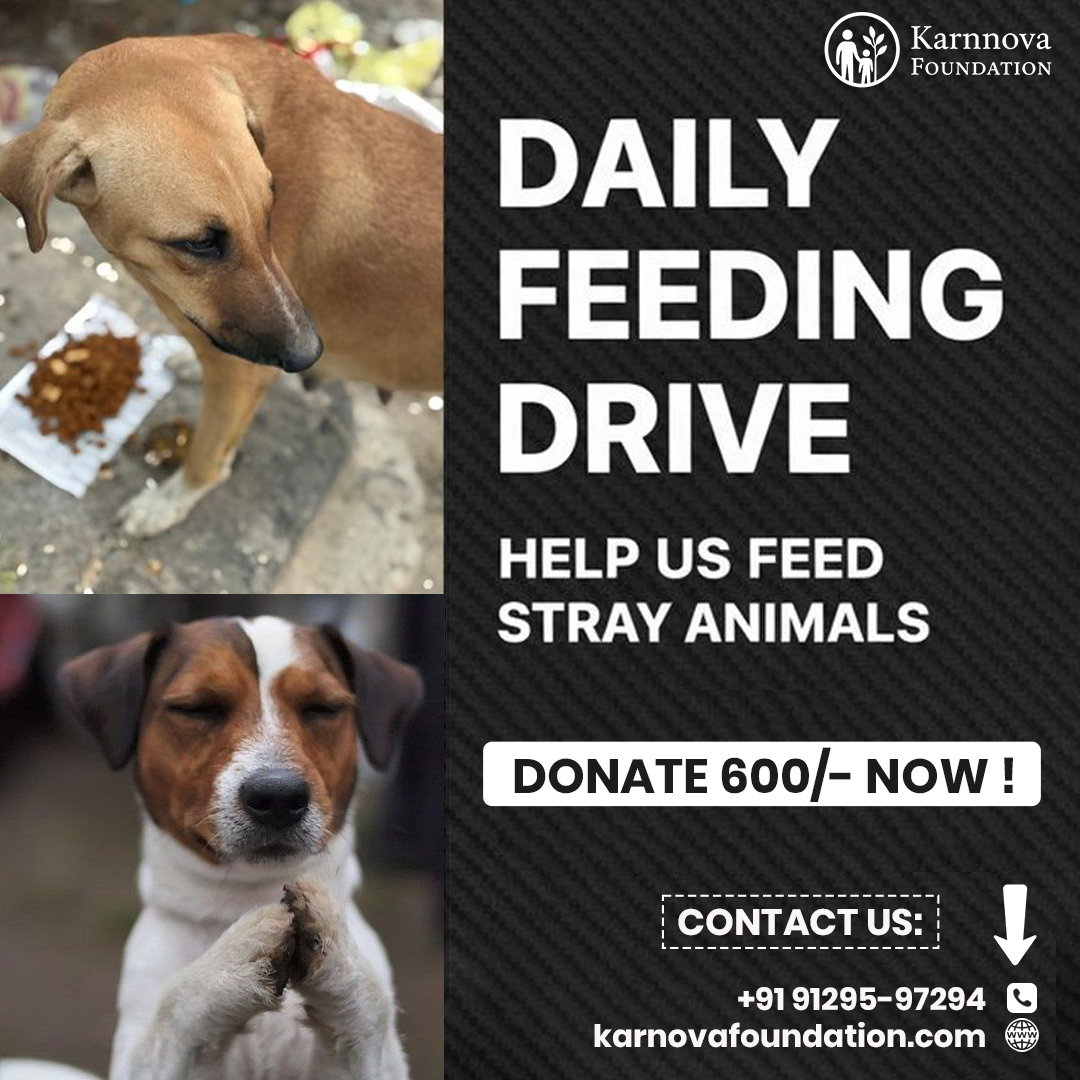 Karnnova foundation Facebook ad: Donate ₹600, Feed a Stray Today