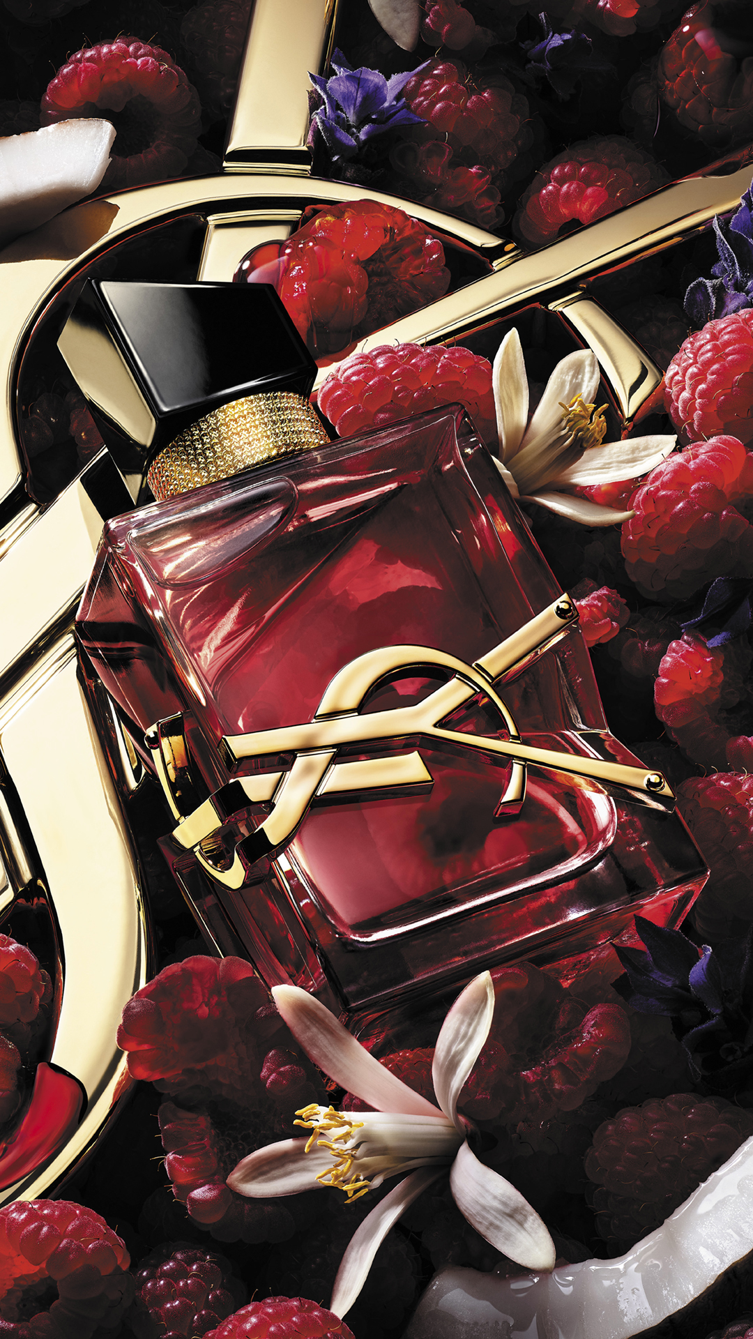YSL Beauty Facebook ad