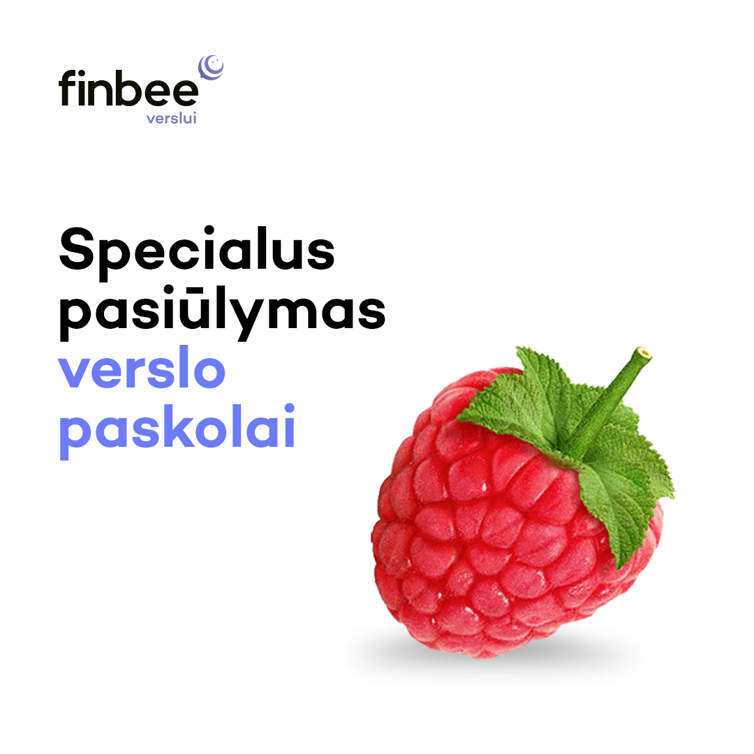 Finbee Verslui Facebook ad