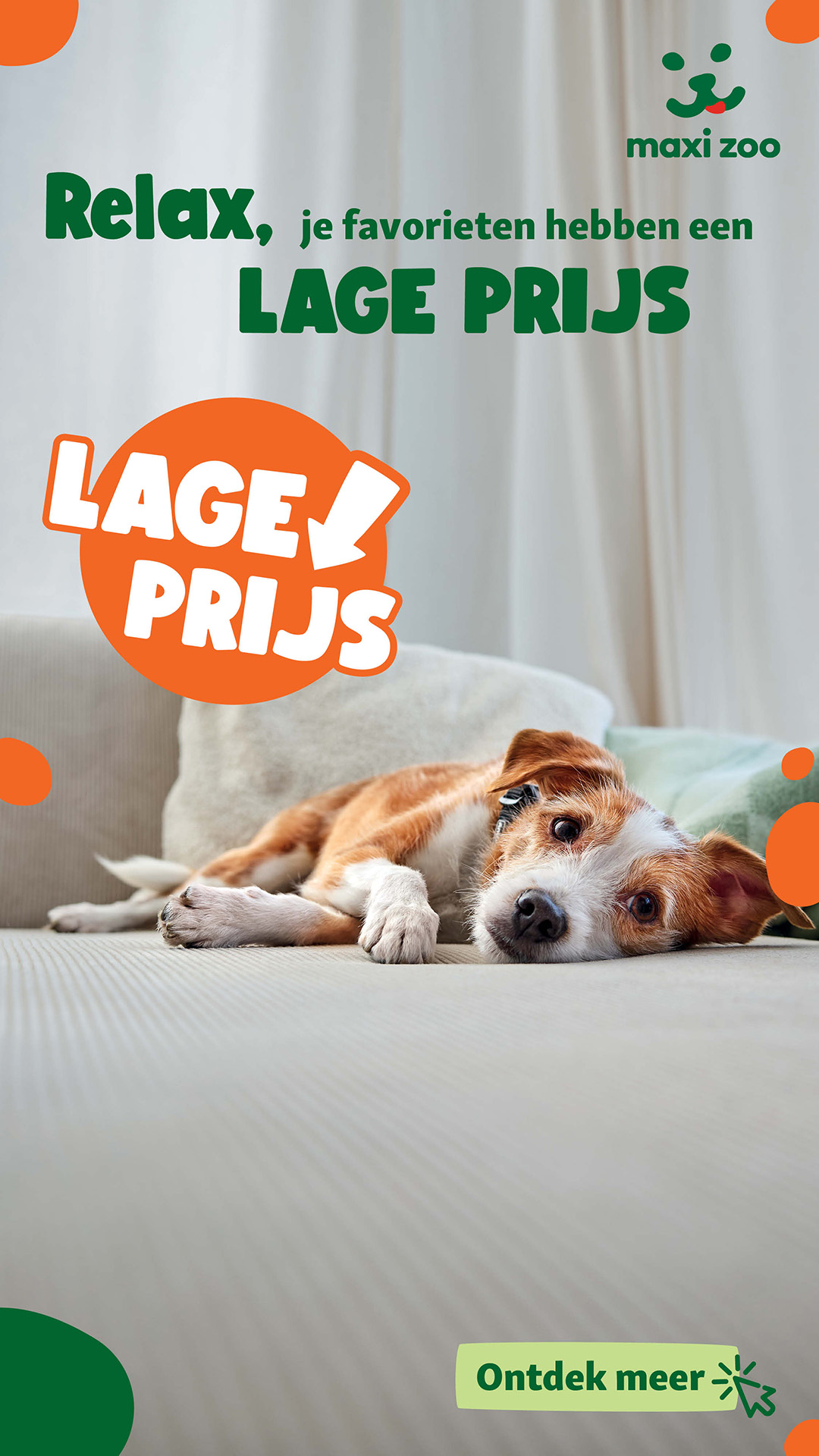 Maxi Zoo Belgium Facebook ad from Feb 2, 2026