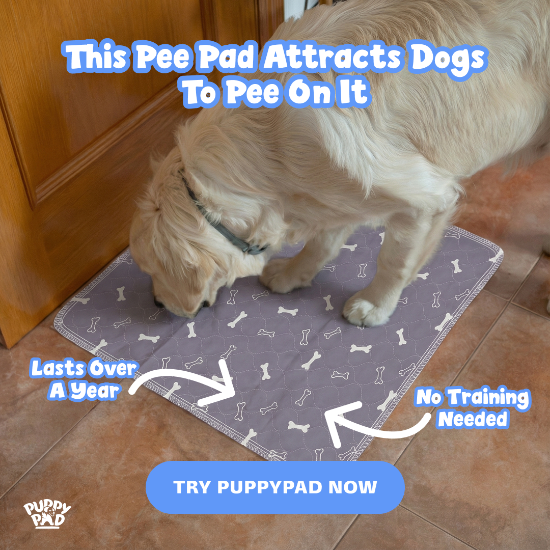 PuppyPad Facebook ad