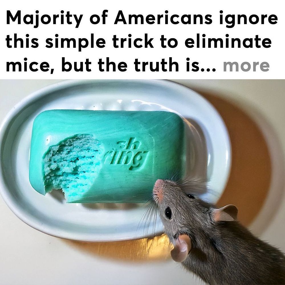 Rodent Secrets Facebook ad