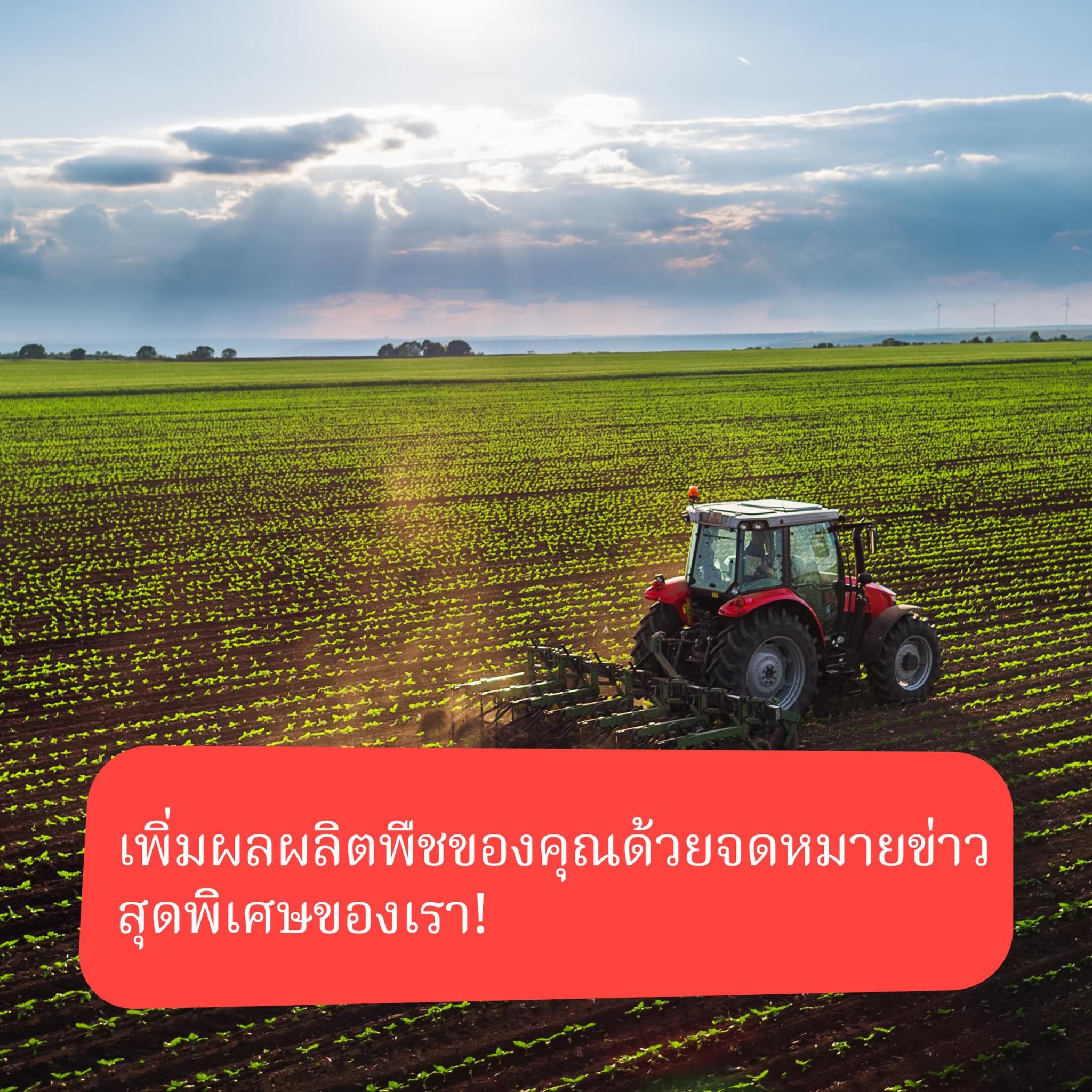 Haifa Group - Pioneering the Future Facebook ad