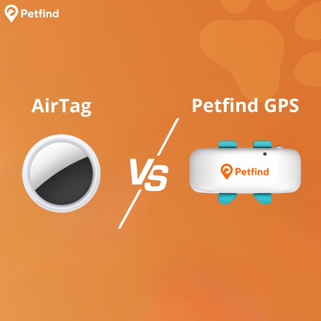 Petfind Facebook ad