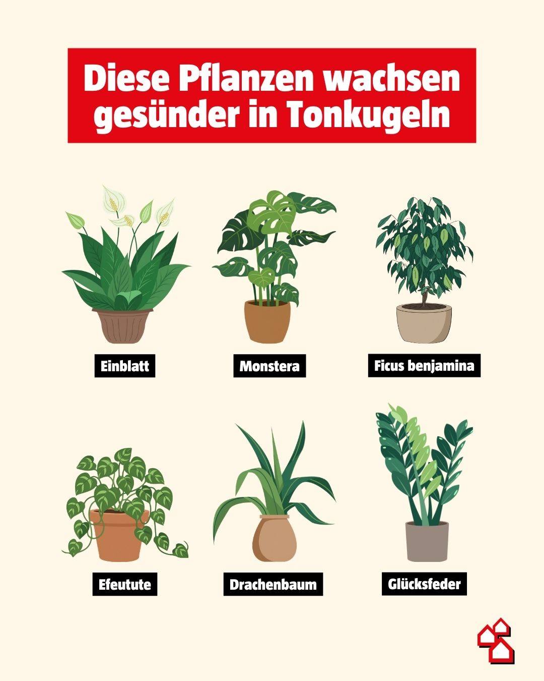 BAUHAUS Schweiz Facebook ad