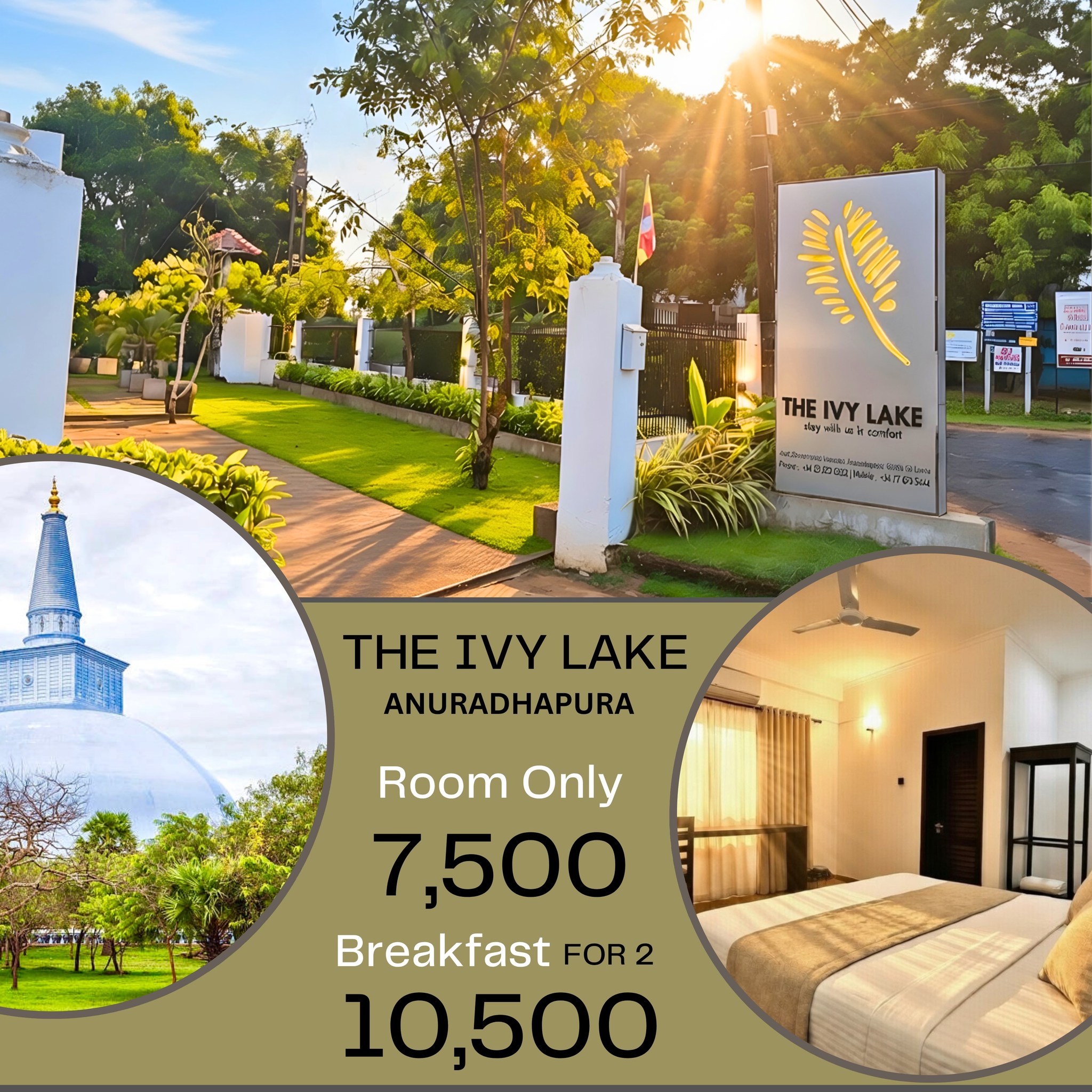 The IVY LAKE, Anuradhapura, Sri Lanka Facebook ad
