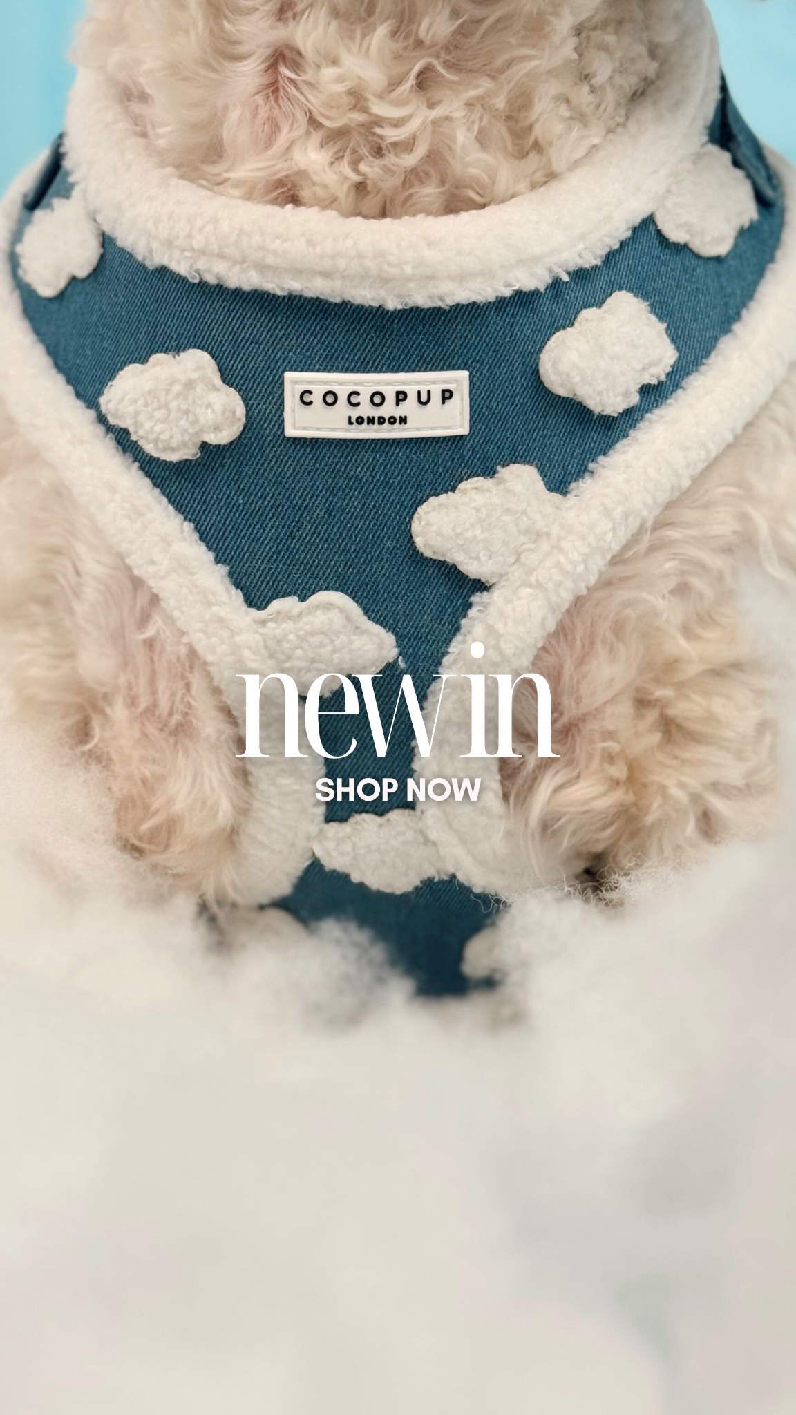 Cocopupuk Facebook ad