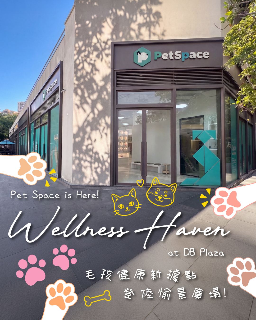 香港愉景灣 Visit Discovery Bay Facebook ad: 【 毛孩健康新據點 Pet Space Discovery Bay登陸愉景廣場!】