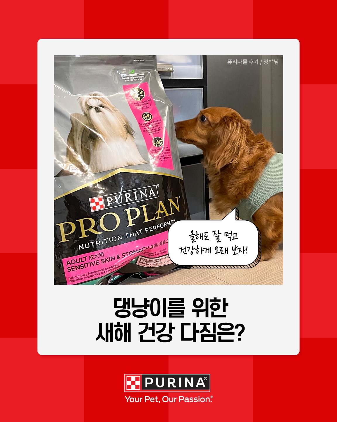 퓨리나 Facebook ad: 새해가 시작된 지도 벌써 한참…