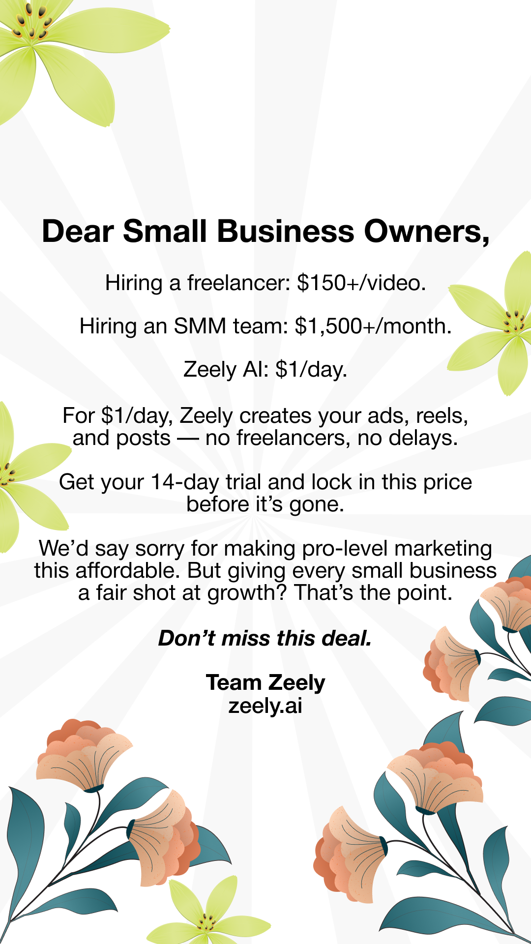 Zeely Facebook ad
