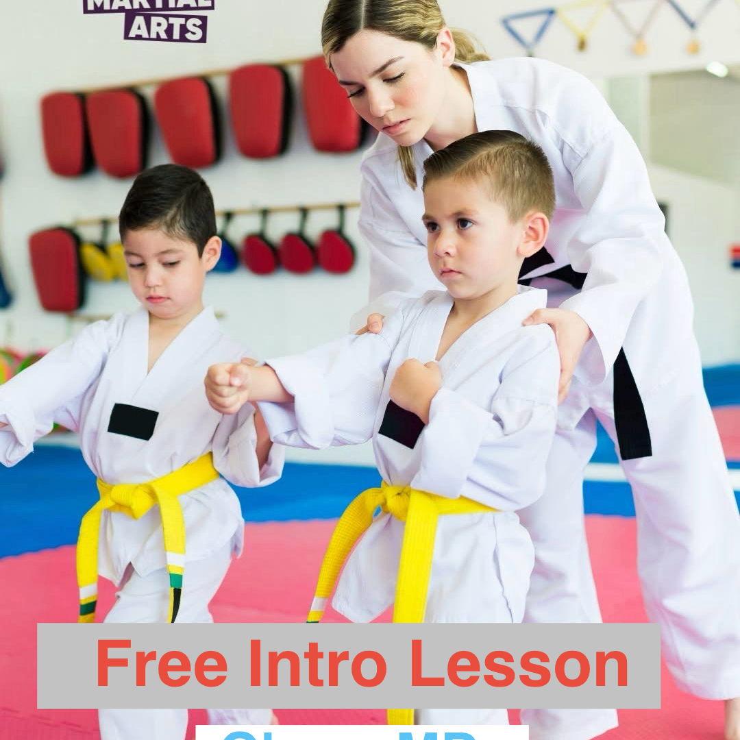 World Taekwondo Academy Olney Maryland Facebook ad: The Go-To Martial Art School in Olney, Maryland |…