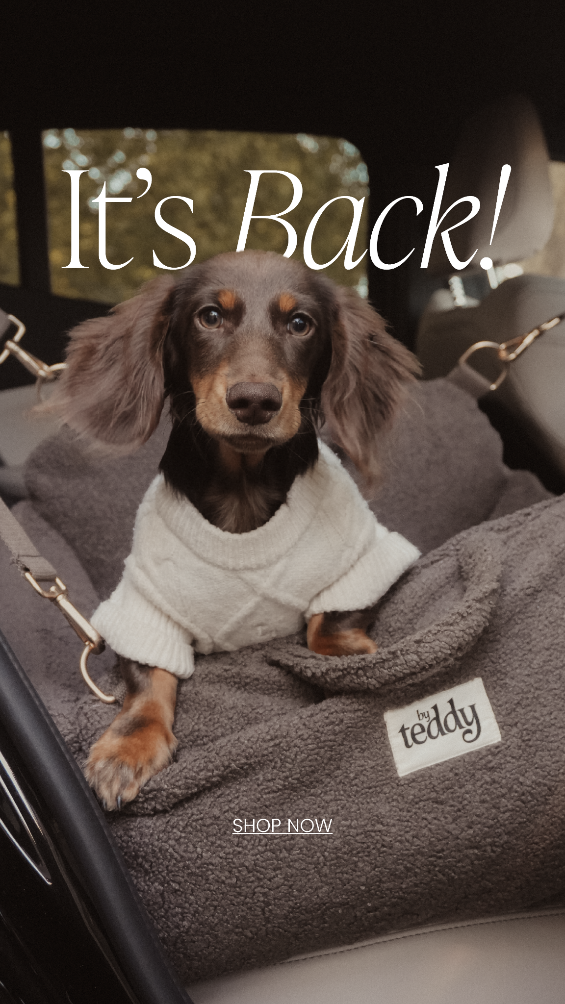 By Teddy Facebook ad
