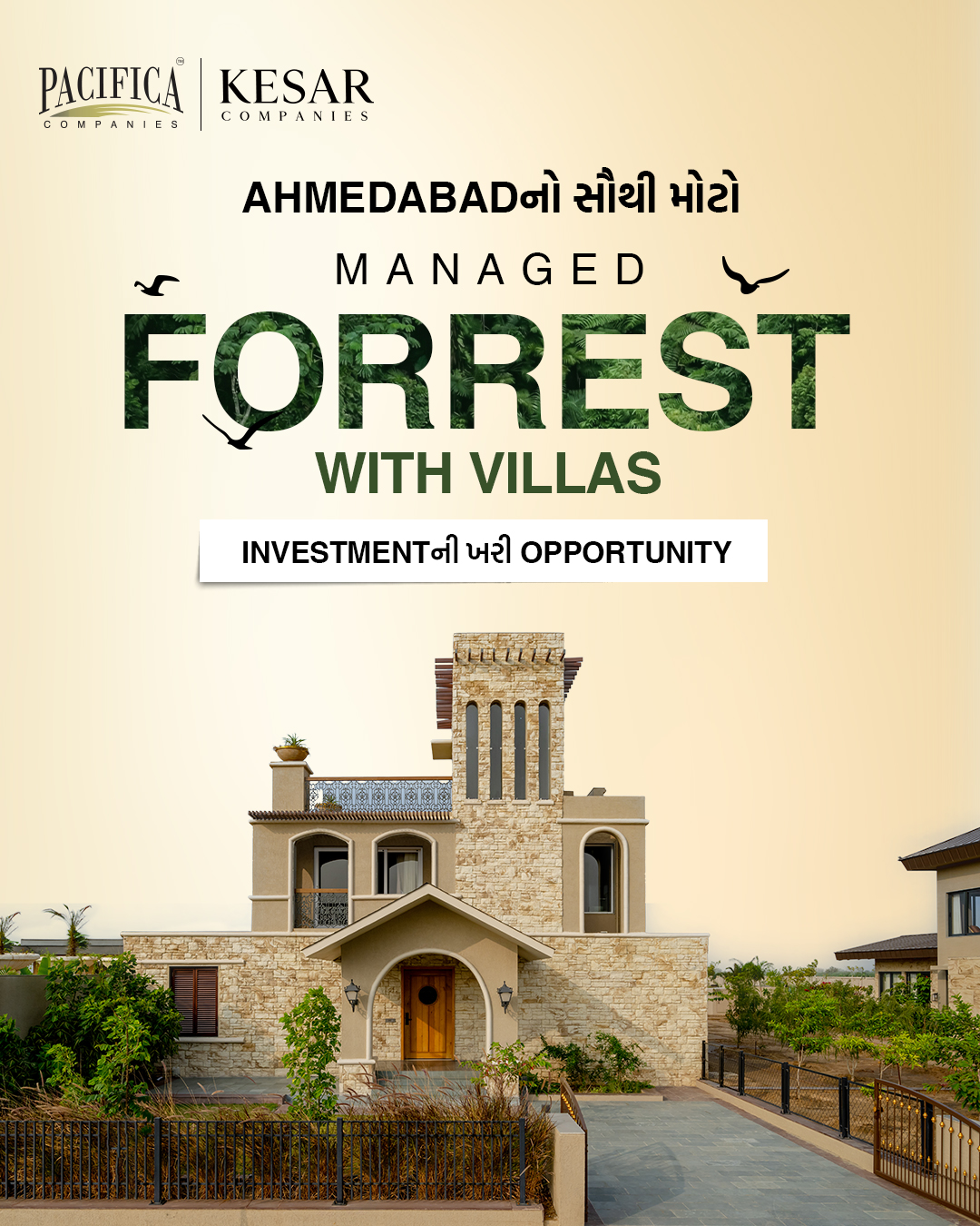Forrest Trails by Pacifica & Kesar Companies Facebook ad: Forrest Trails - શું તમે ક્યારેય વિચાર્યું છે…