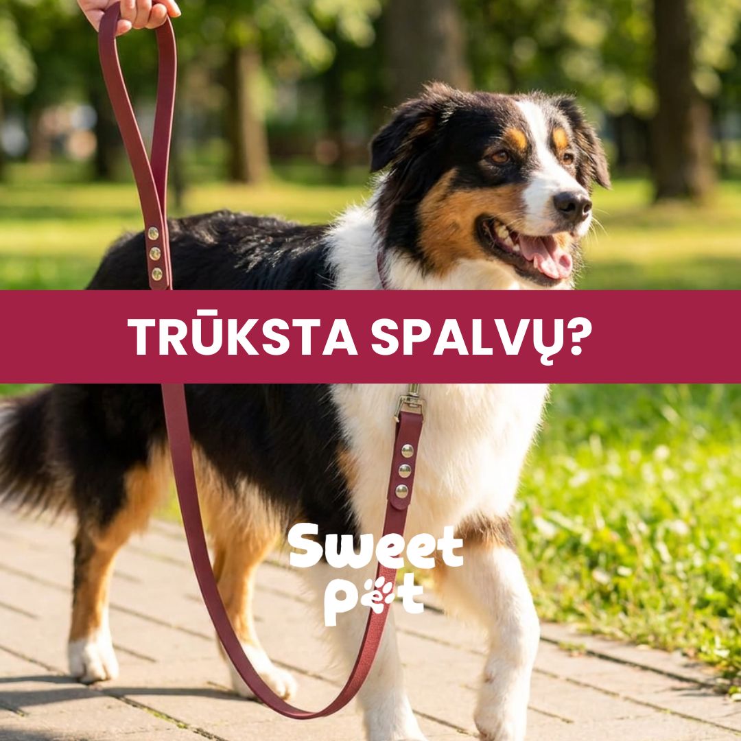 Sweet Pet Facebook ad: -20% NUOLAIDA + 3 DOVANOS