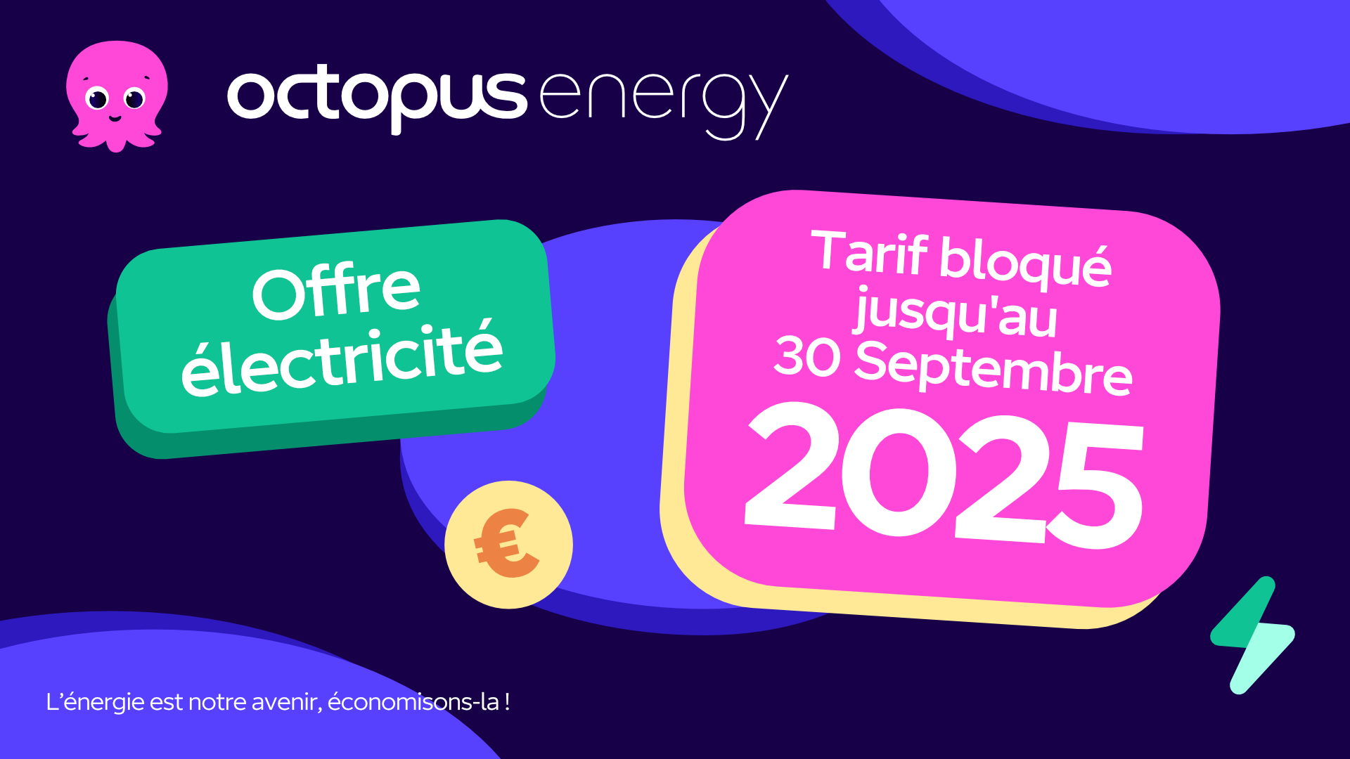 Octopus Energy Facebook ad