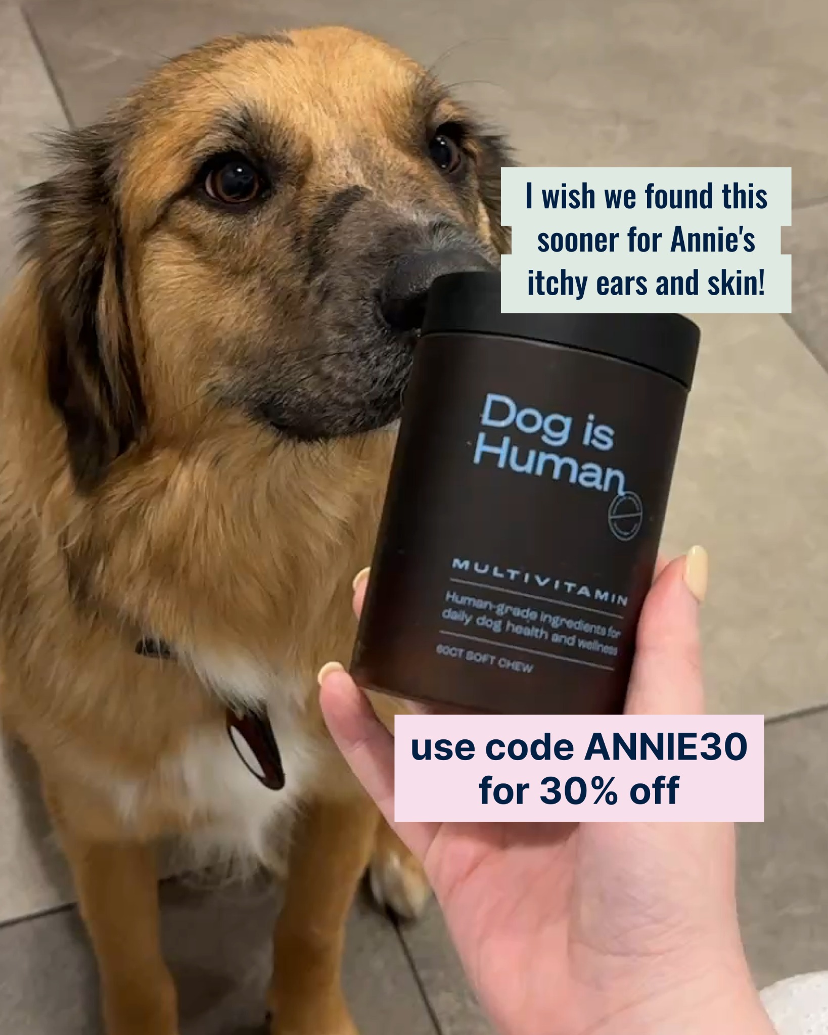 Dog is Human Facebook ad