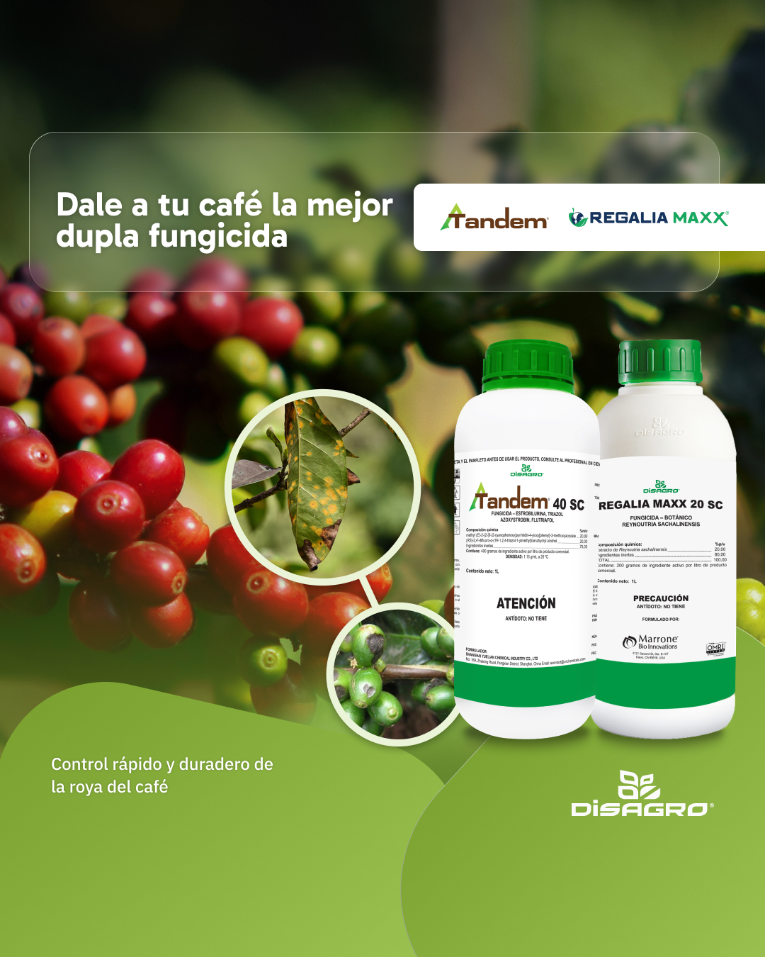 DISAGRO El Salvador Facebook ad: Aplica Tandem y REGALIA MAXX