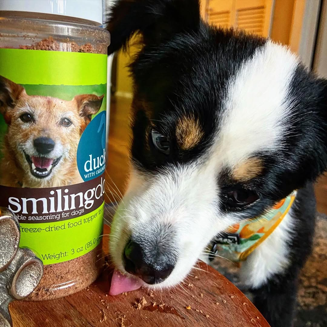 Smiling Dog Treats Facebook ad: Upgrade Their Bowl