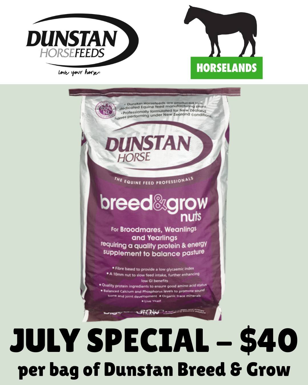 Horselands Facebook ad