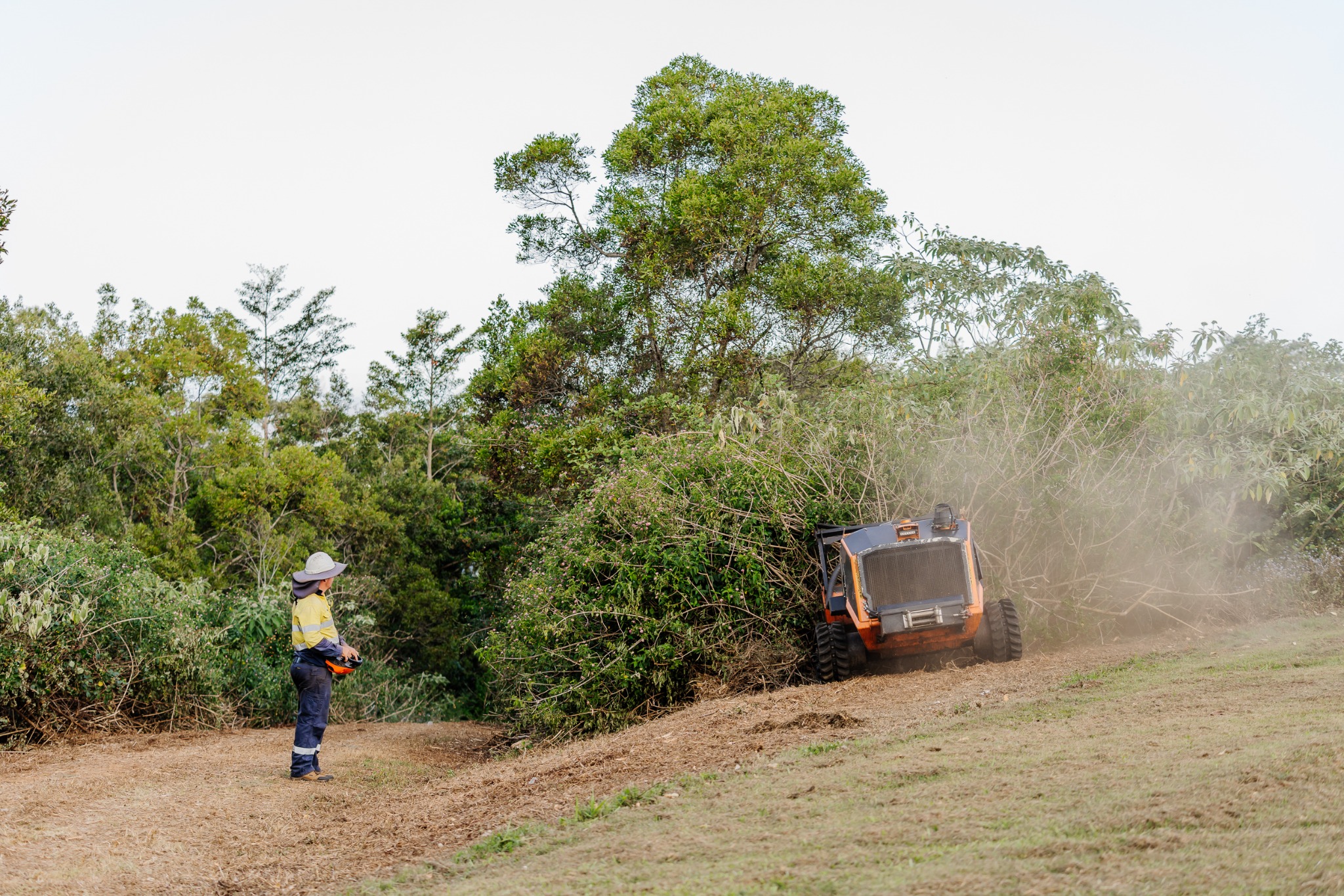 Creek 2 Coast Group Facebook ad: IF YOUR LAND IS OVERGROWN, WE COME TO…