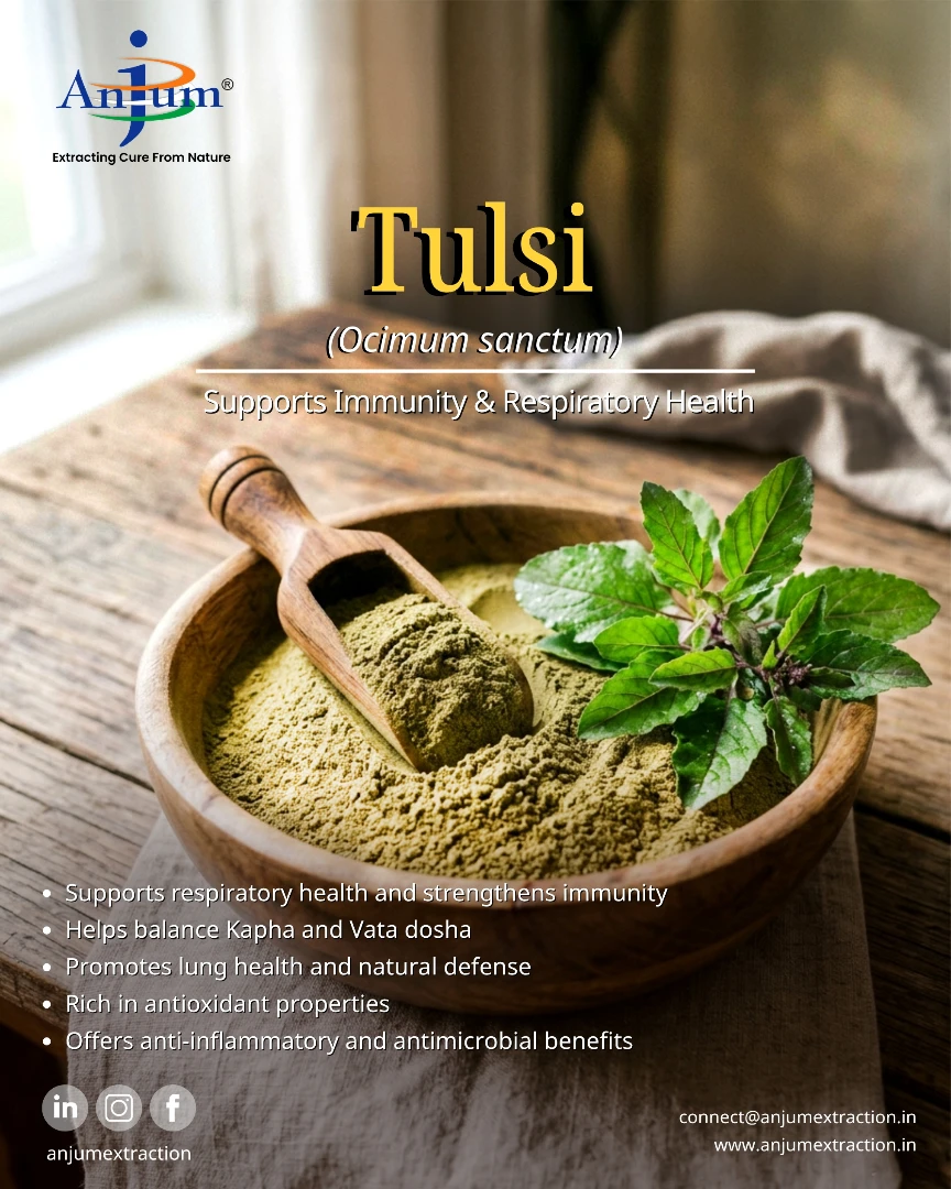 Anjum Extraction Pvt. Ltd. Facebook ad: Tulsi (Ocimum sanctum), The Queen of Herbs