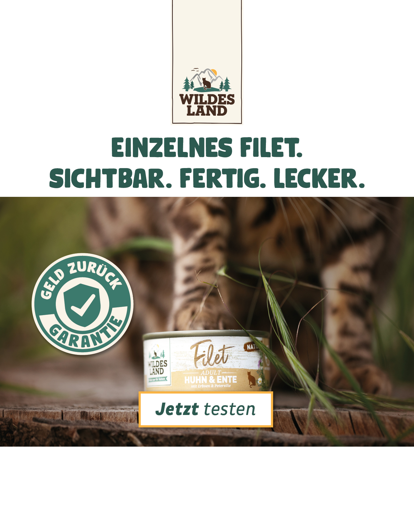 Wildes Land Facebook ad