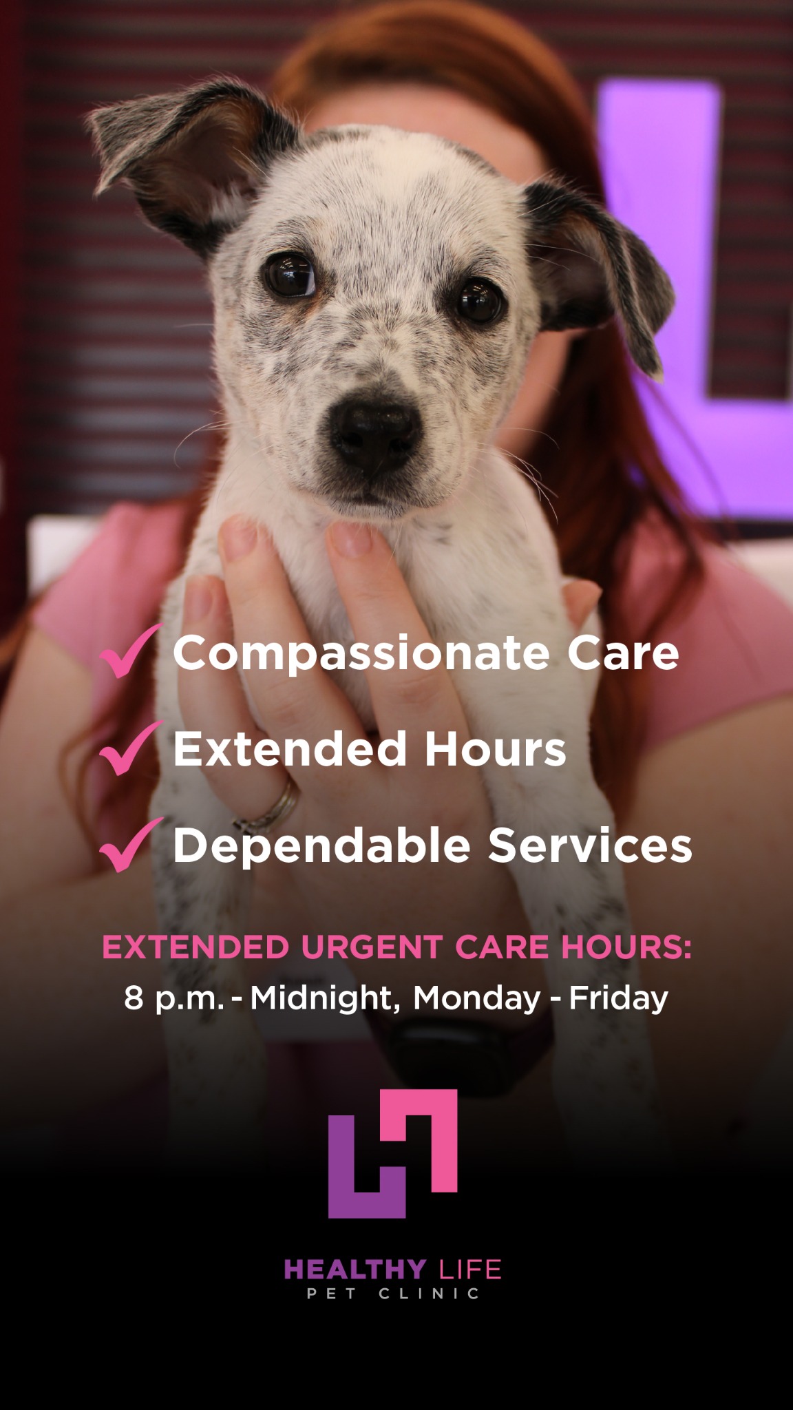 Healthy Life Pet Clinic Facebook ad from Jun 5, 2026