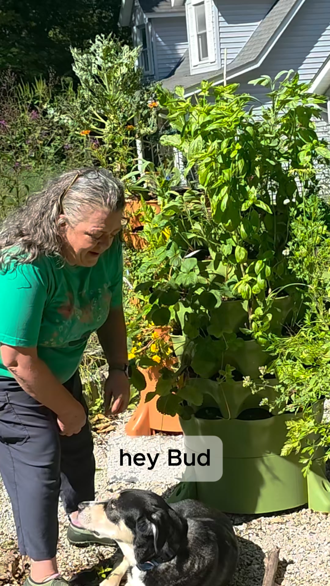 Garden Tower Project Facebook ad: Grow 50+ Fruits, Vegetables & Herbs In 4sq ft