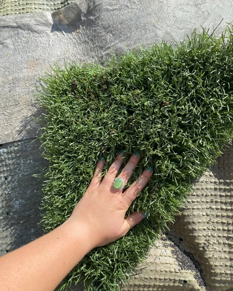 Sarah Miller Facebook ad: Turf! Fake Grass! 1200 lbs per roll! LOCAL