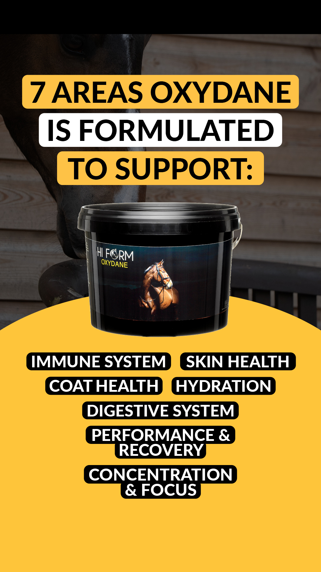 Hi Form Equine UK Facebook ad: The Highest Standard in Equine Nutrition