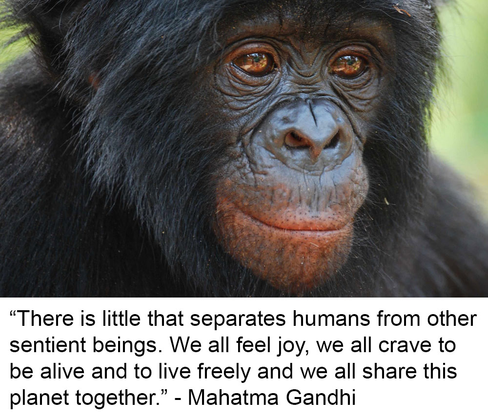 Animal Matters Facebook ad