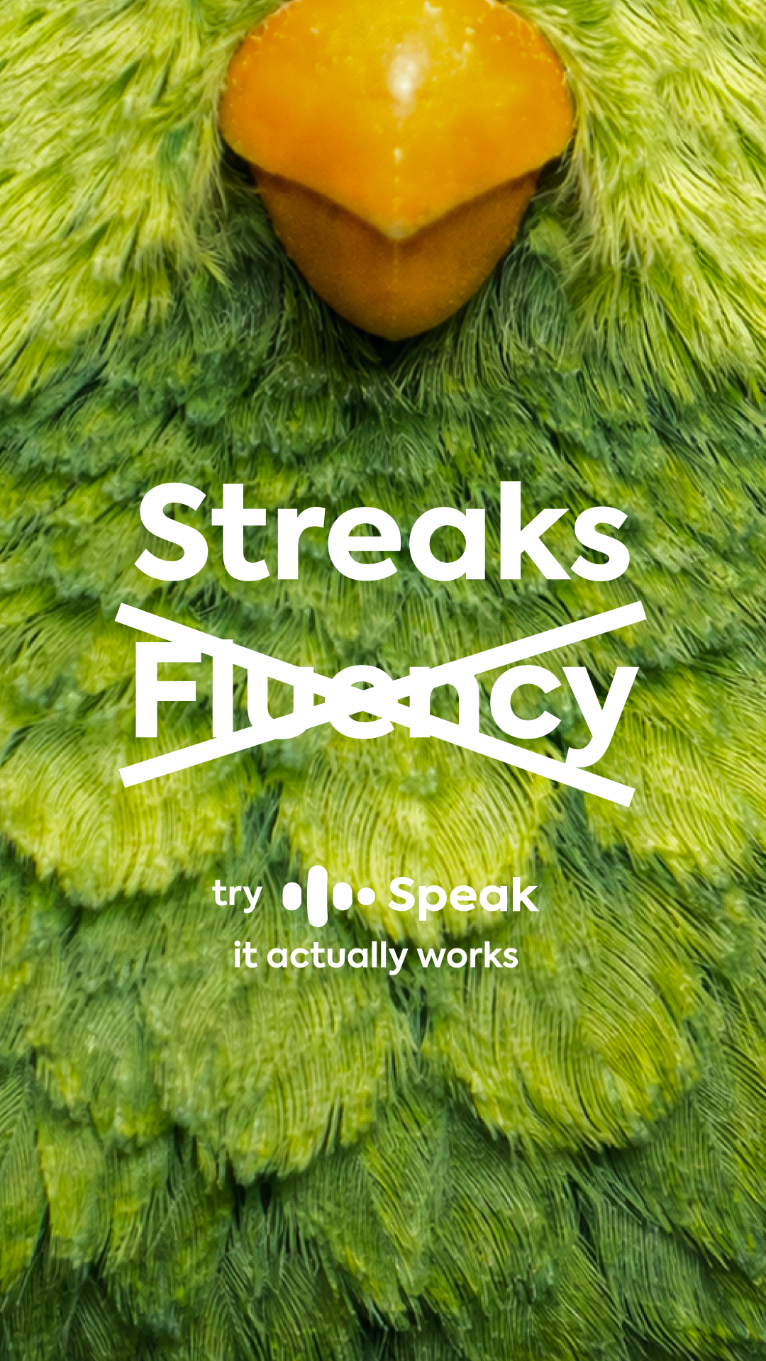 Speak Facebook ad