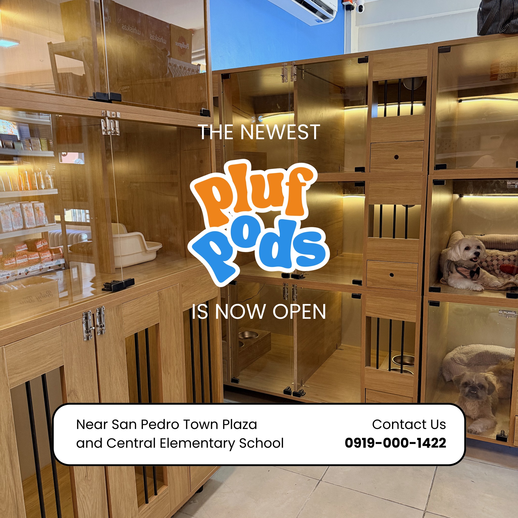 Pluf Pets Facebook ad: ๐๐๐๐ฏ๐ข๐ง๐ ๐ฒ๐จ๐ฎ๐ซ ๐ฉ๐๐ญ ๐ฌ๐ก๐จ๐ฎ๐ฅ๐ ๐ง๐๐ฏ๐๐ซโฆ
