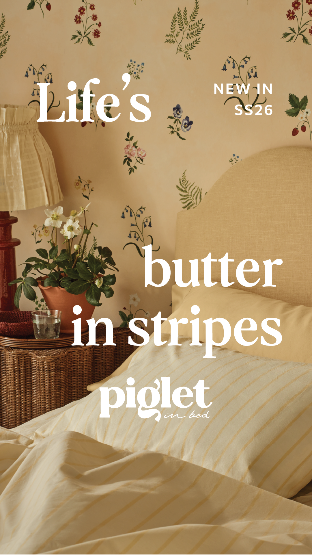 Piglet in Bed Facebook ad