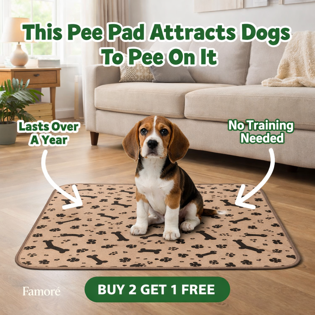 Famoré Pet Facebook ad: FREE PAD WITH EVERY BUNDLE