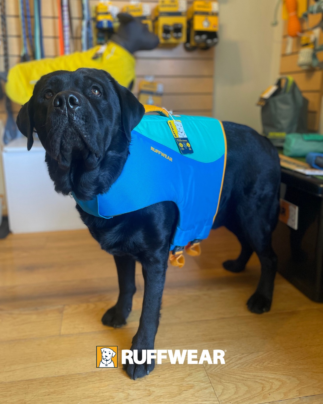 Ruffwear Argentina Facebook ad: Todo lo que tu perro necesita en un…