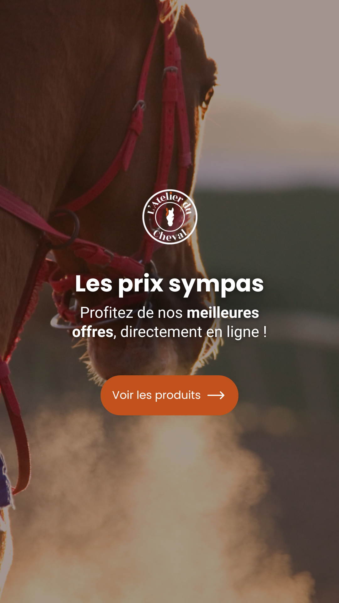 Sellerie L'Atelier du Cheval Facebook ad from Sep 3, 2026