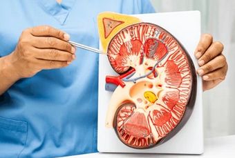 TCM Kidney Renewal Facebook ad: Are you troubled by kidney disease and still…