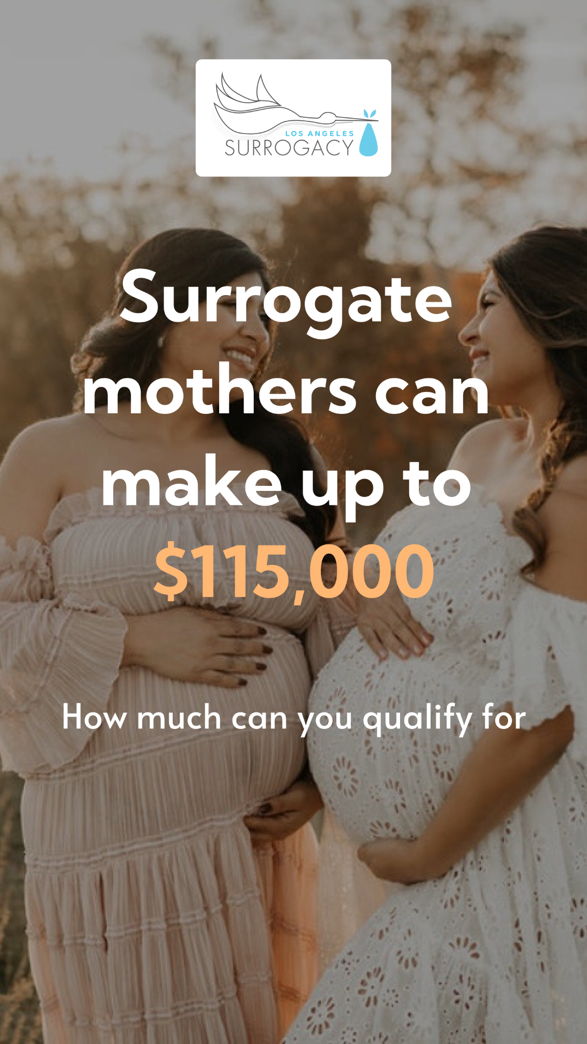 Los Angeles Surrogacy Facebook ad