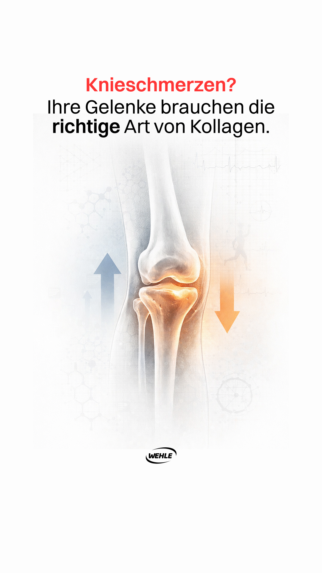 Sportnahrung Wehle Facebook ad
