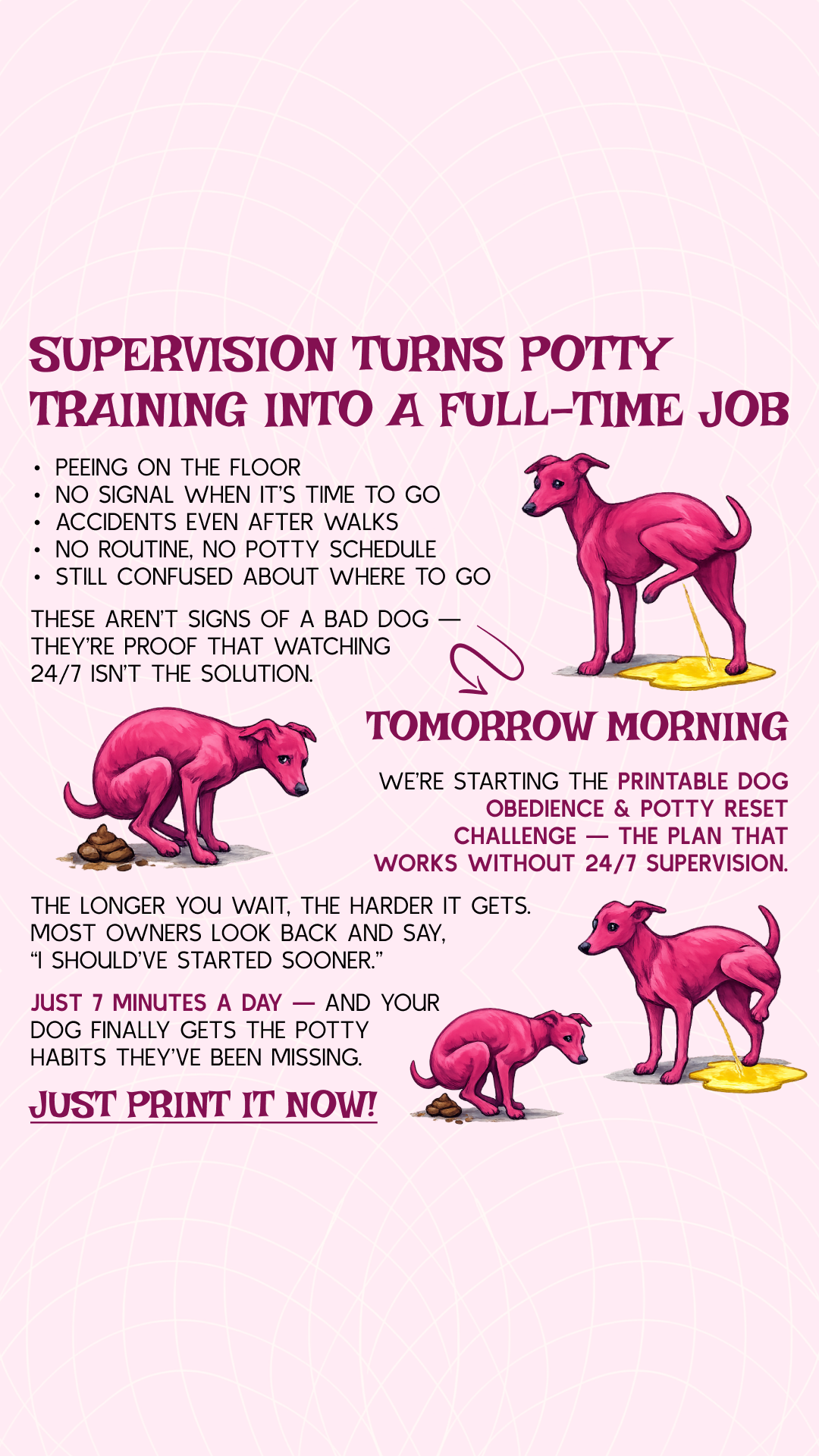 PawChamp Facebook ad