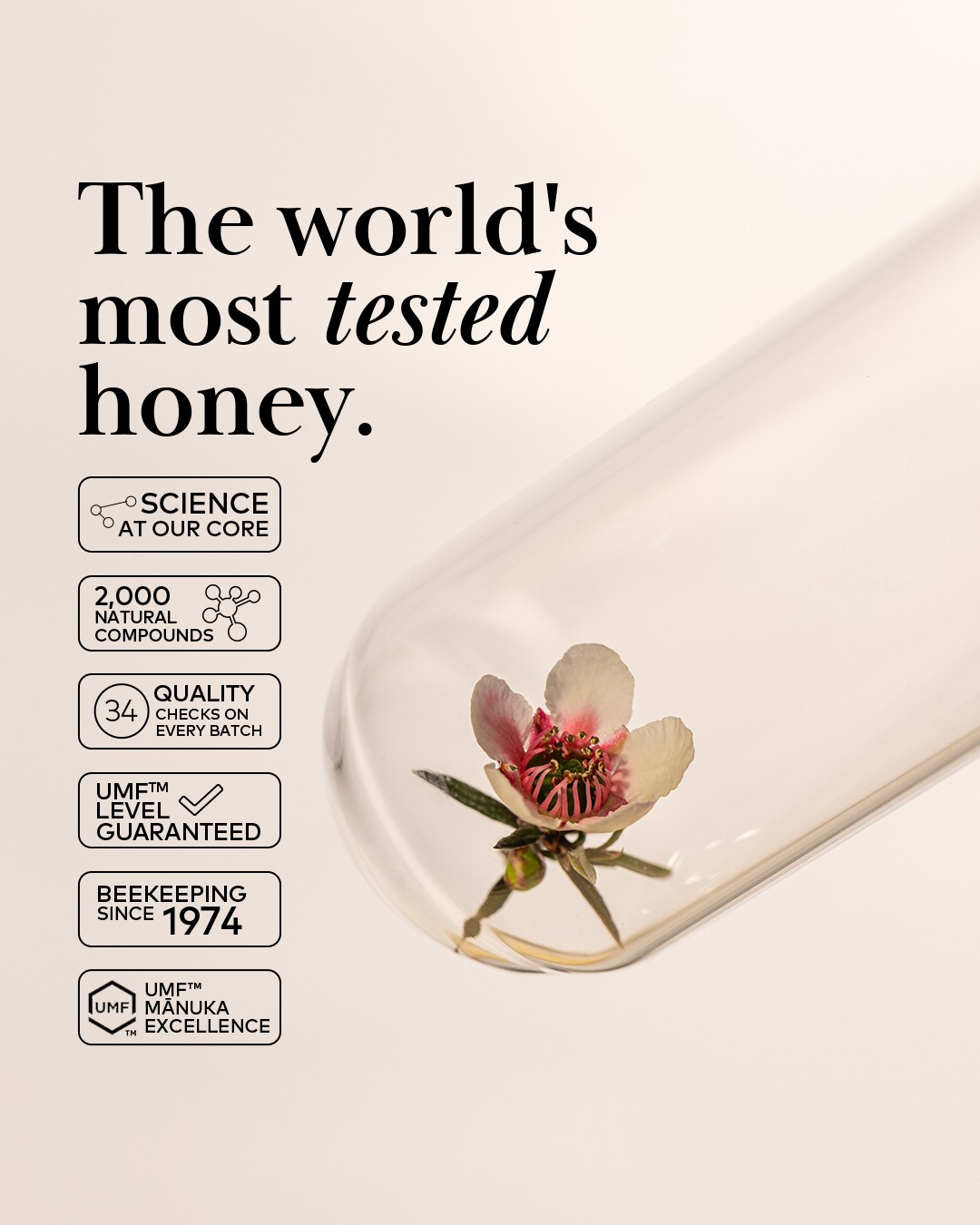 Comvita New Zealand Facebook ad