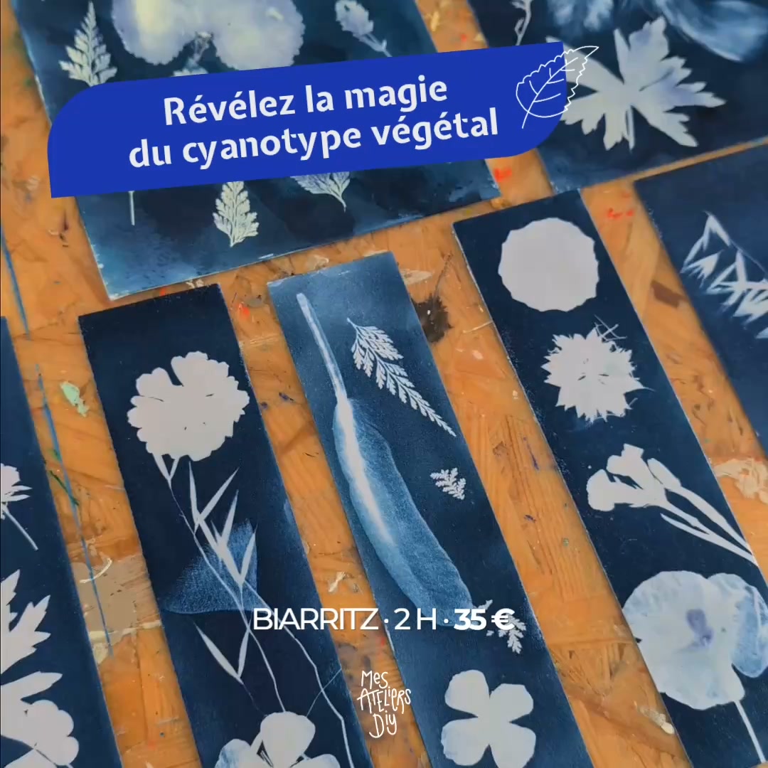Mes Ateliers DIY Facebook ad: Réservez votre atelier cyanotype