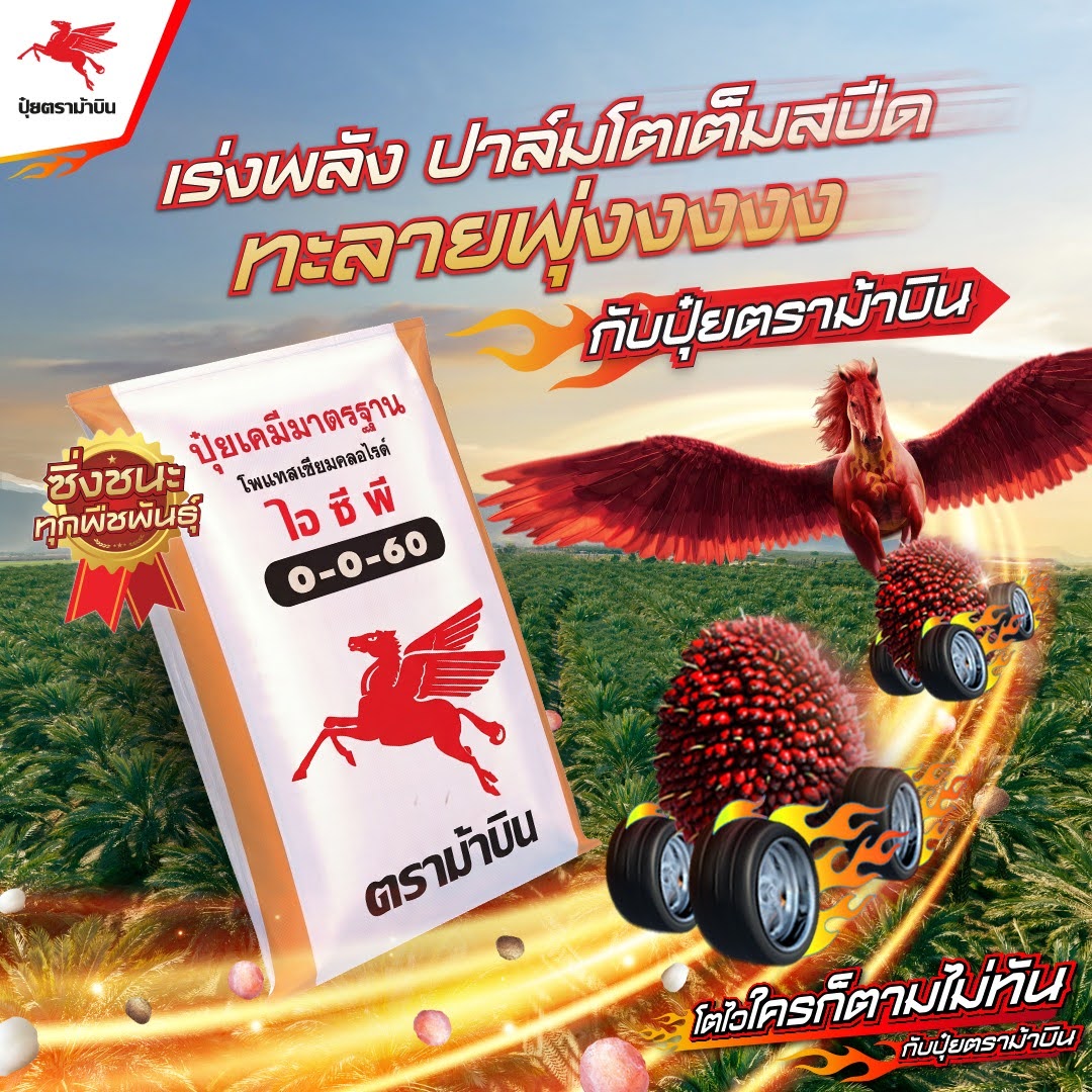 ปุ๋ยตราม้าบิน Facebook ad: ปาล์มติดสปีด…ทะลายพุ่งแรงง!