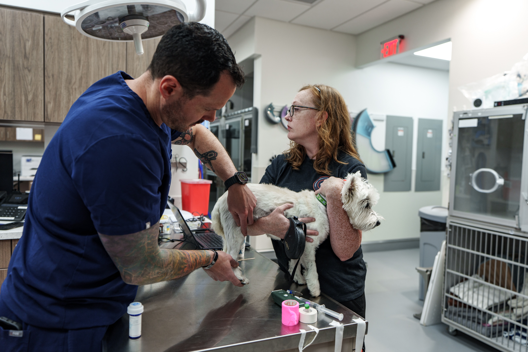 COVE Pet Care Facebook ad: When a torn CCL makes walks, stairs and…