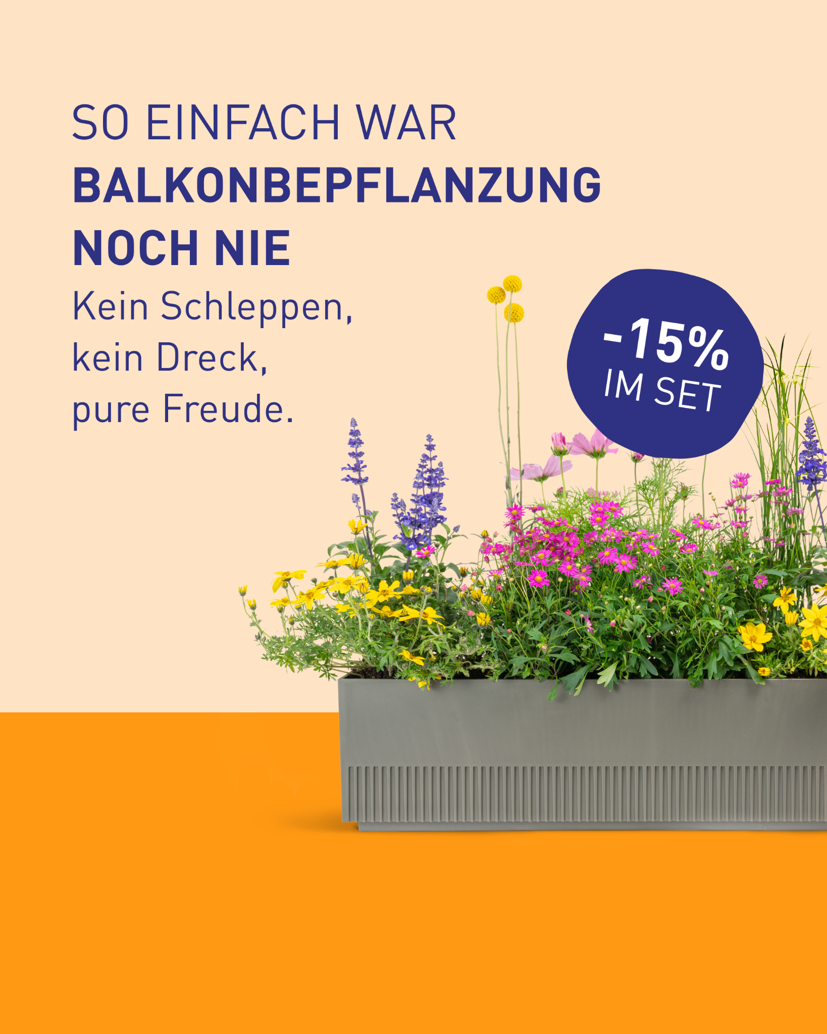 Plantura Facebook ad