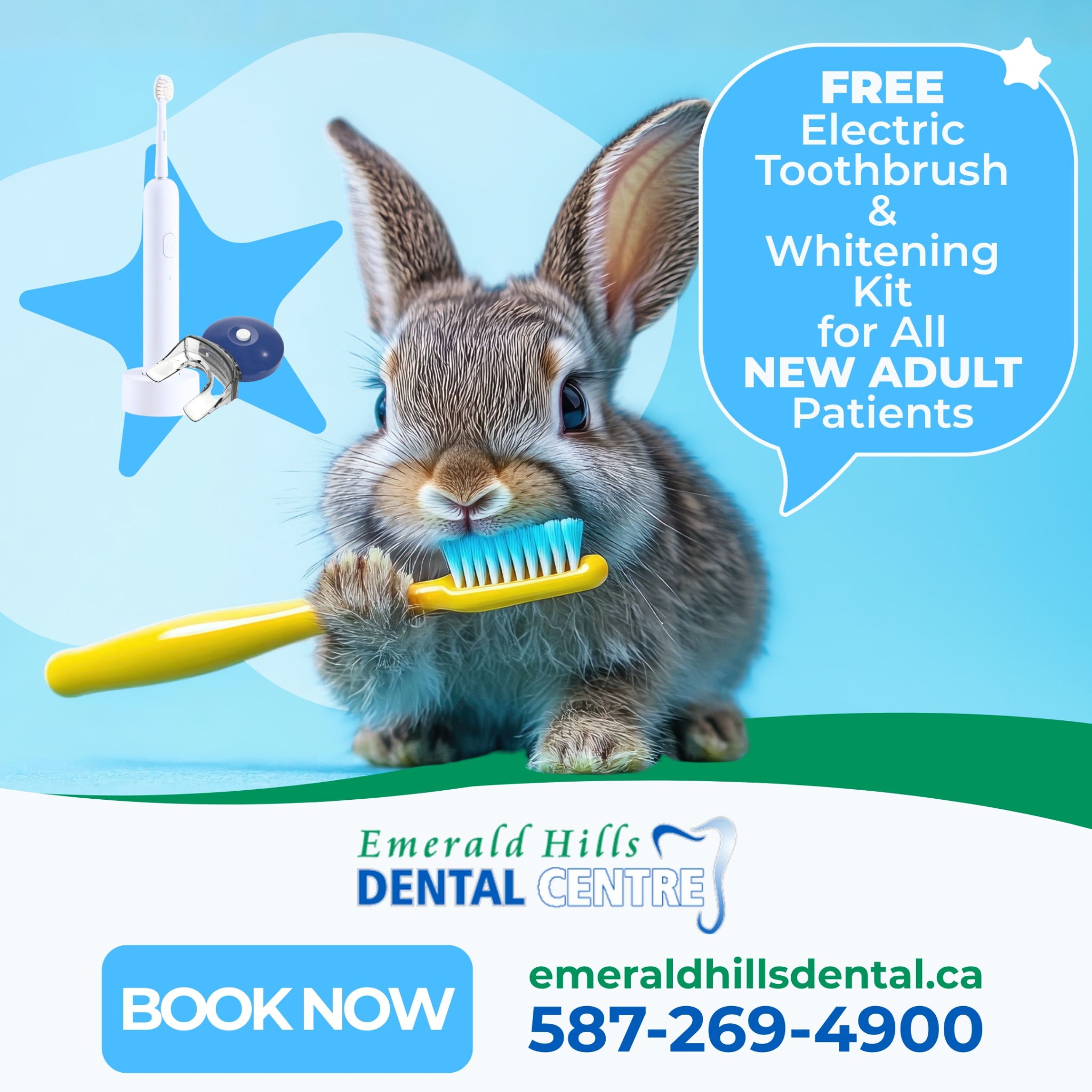 Emerald Hills Dental Centre Facebook ad
